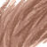 Soft Brown